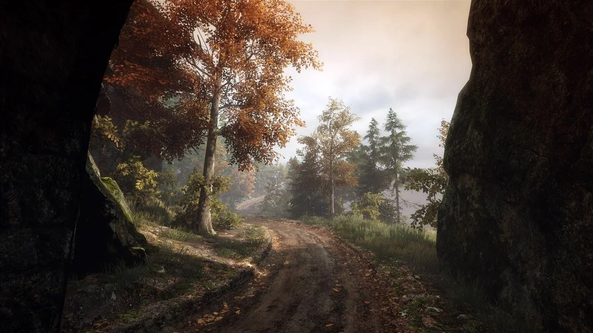 Скриншот из игры The Vanishing of Ethan Carter - 35