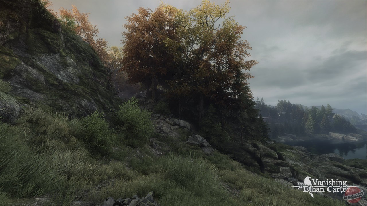 Скриншот из игры The Vanishing of Ethan Carter - 46