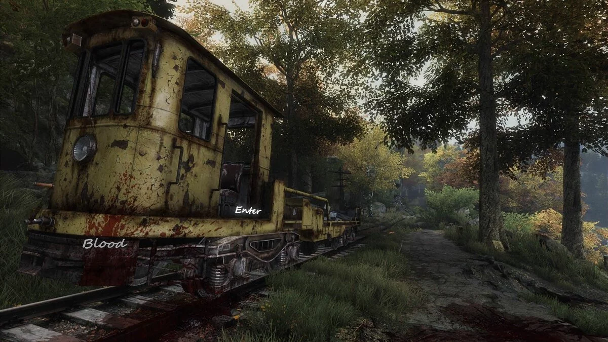 Скриншот из игры The Vanishing of Ethan Carter - 30