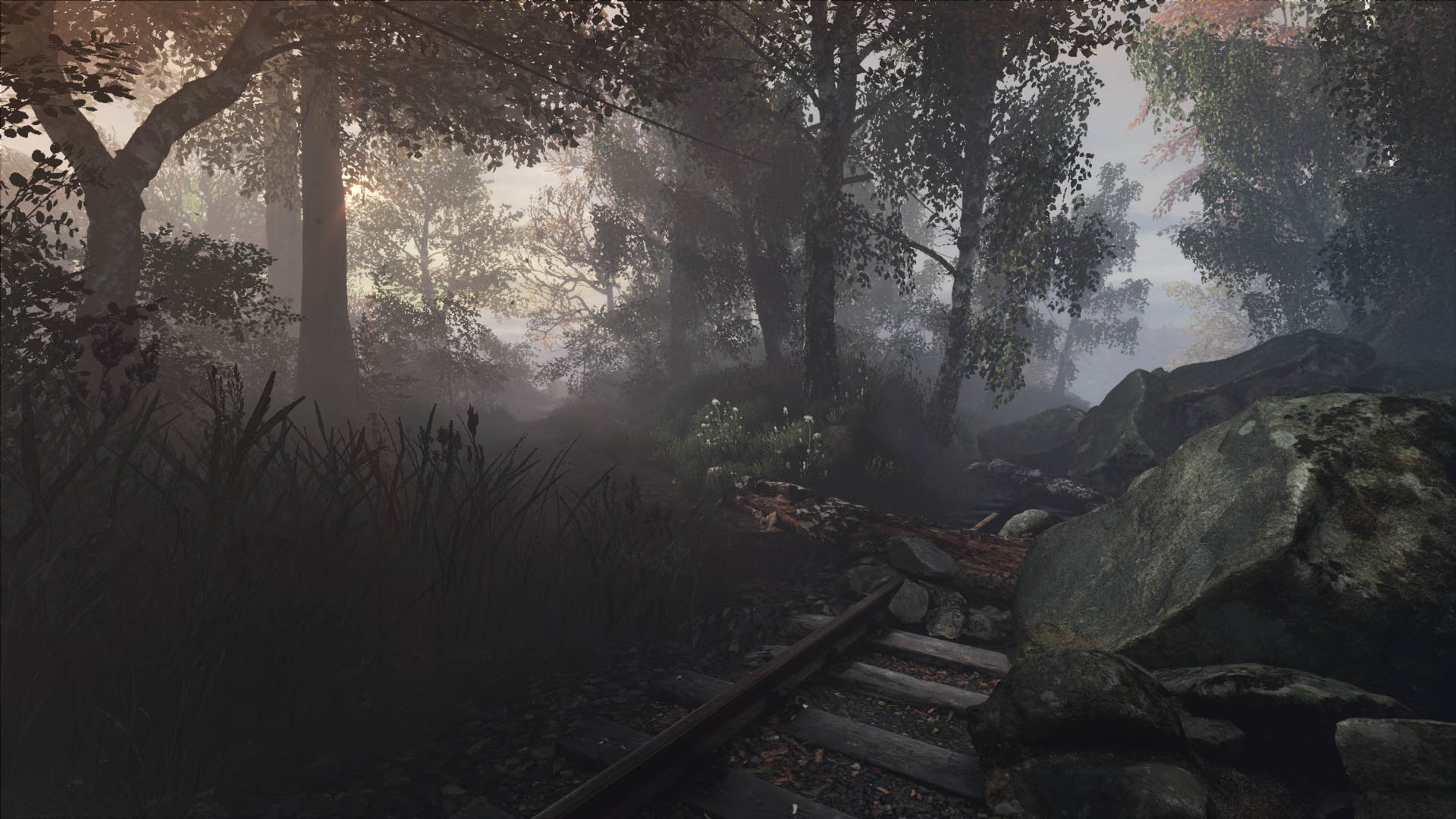Скриншот из игры The Vanishing of Ethan Carter - 68