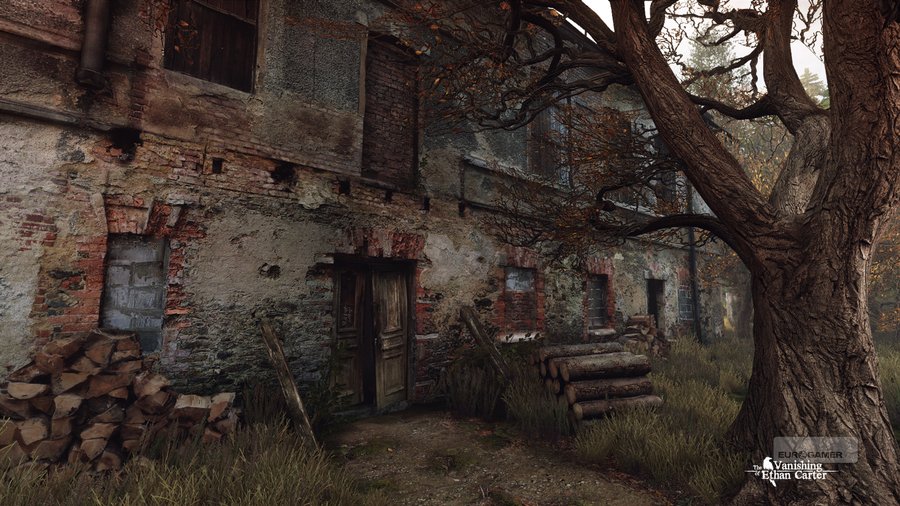 Скриншот из игры The Vanishing of Ethan Carter - 10