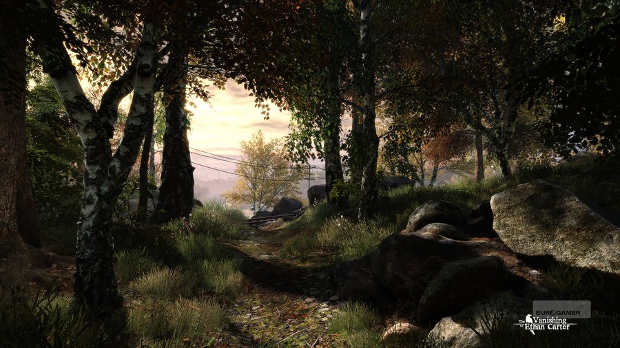 Скриншот из игры The Vanishing of Ethan Carter - 11