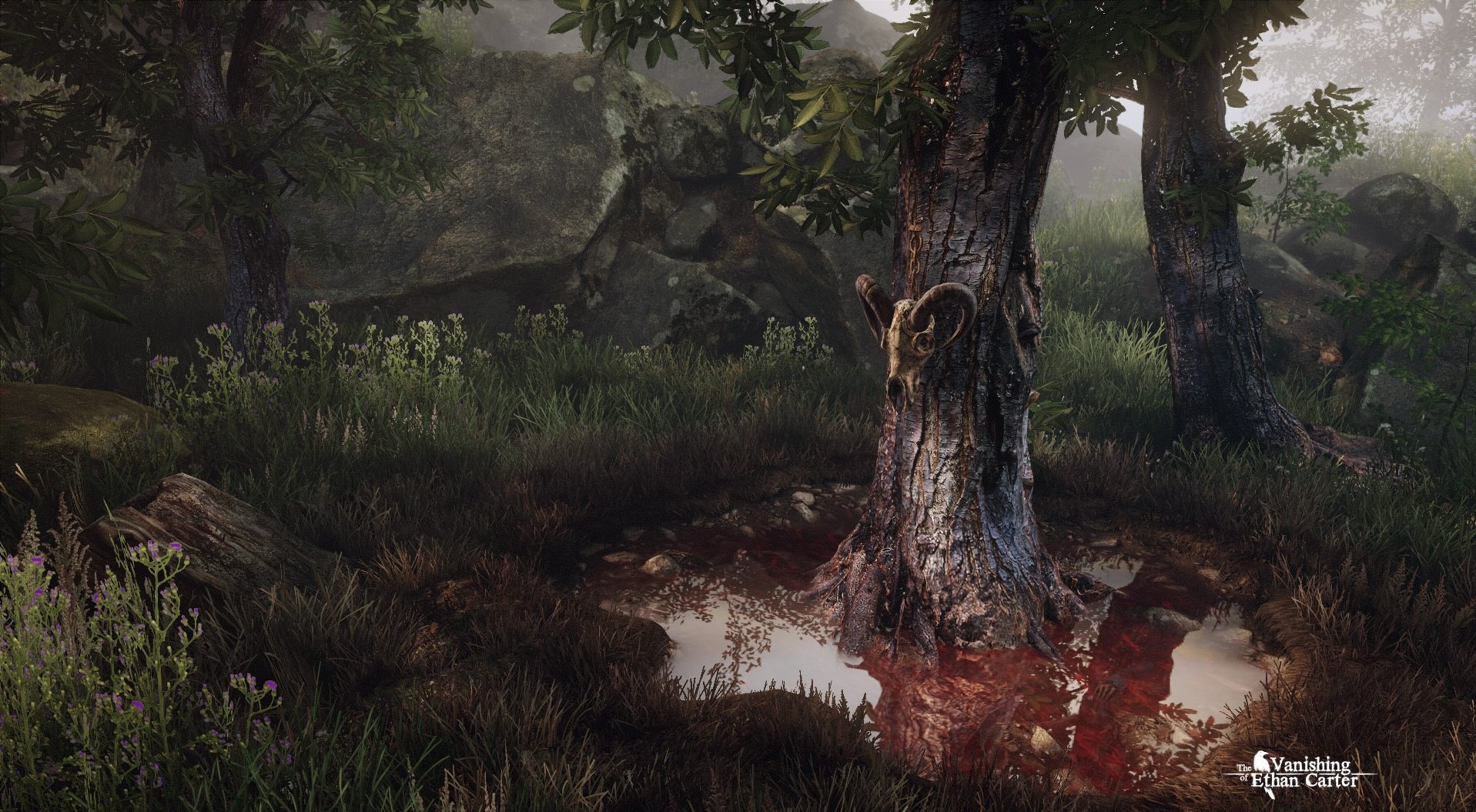 Скриншот из игры The Vanishing of Ethan Carter - 17