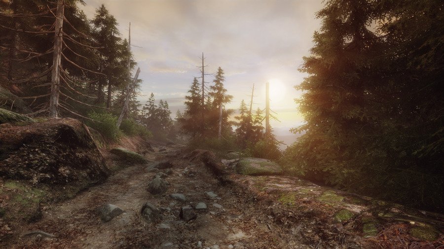 Скриншот из игры The Vanishing of Ethan Carter - 20