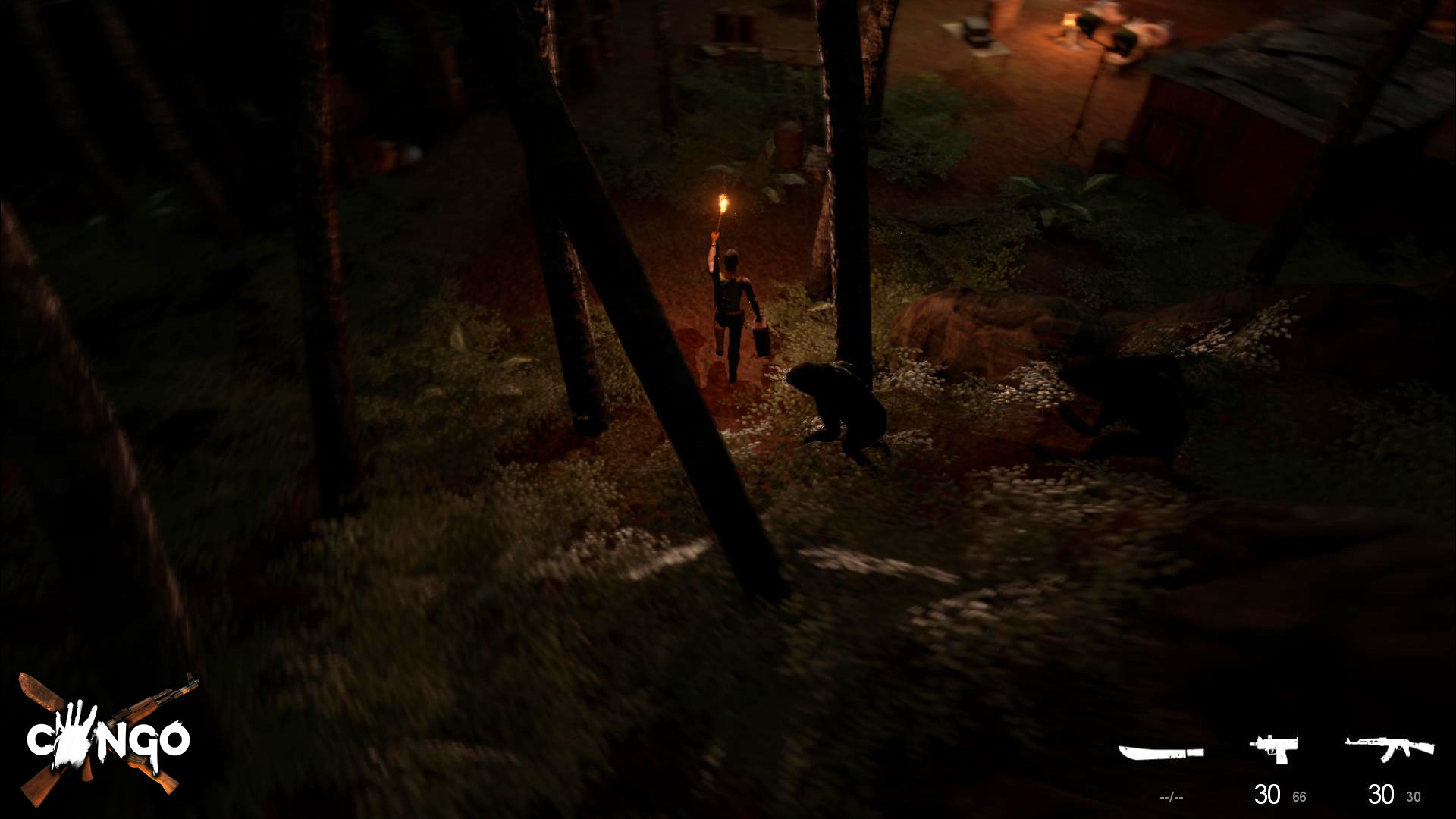 Скриншот из игры Congo - 32