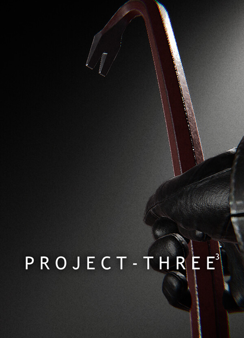 Обложка игры Project Three