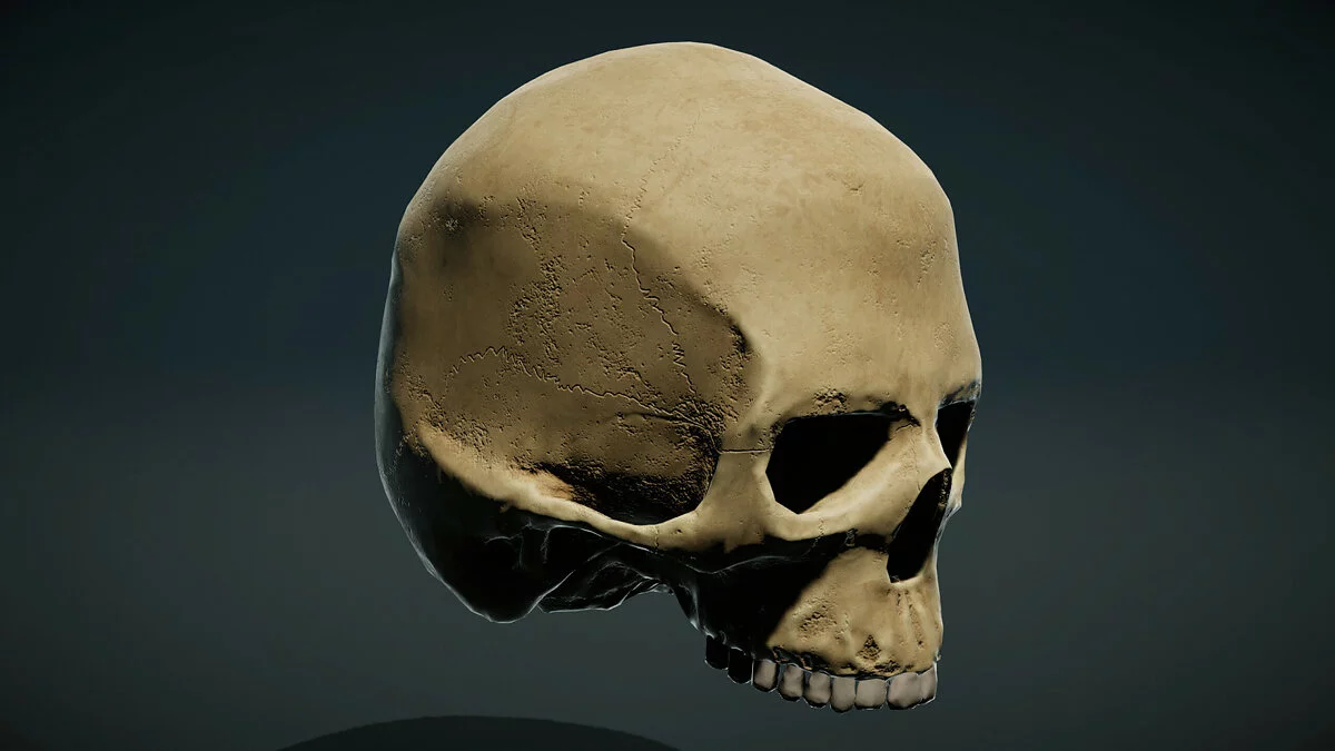 Скриншот из игры Installation 01 - 9