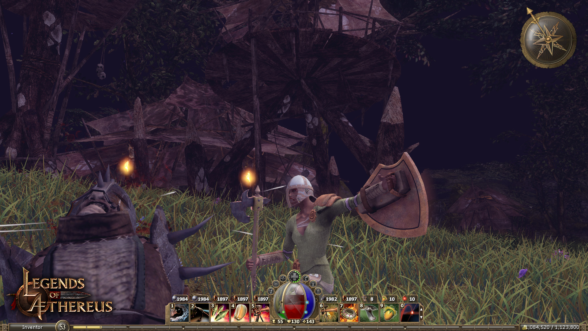 Скриншот из игры Legends of Aethereus - 22