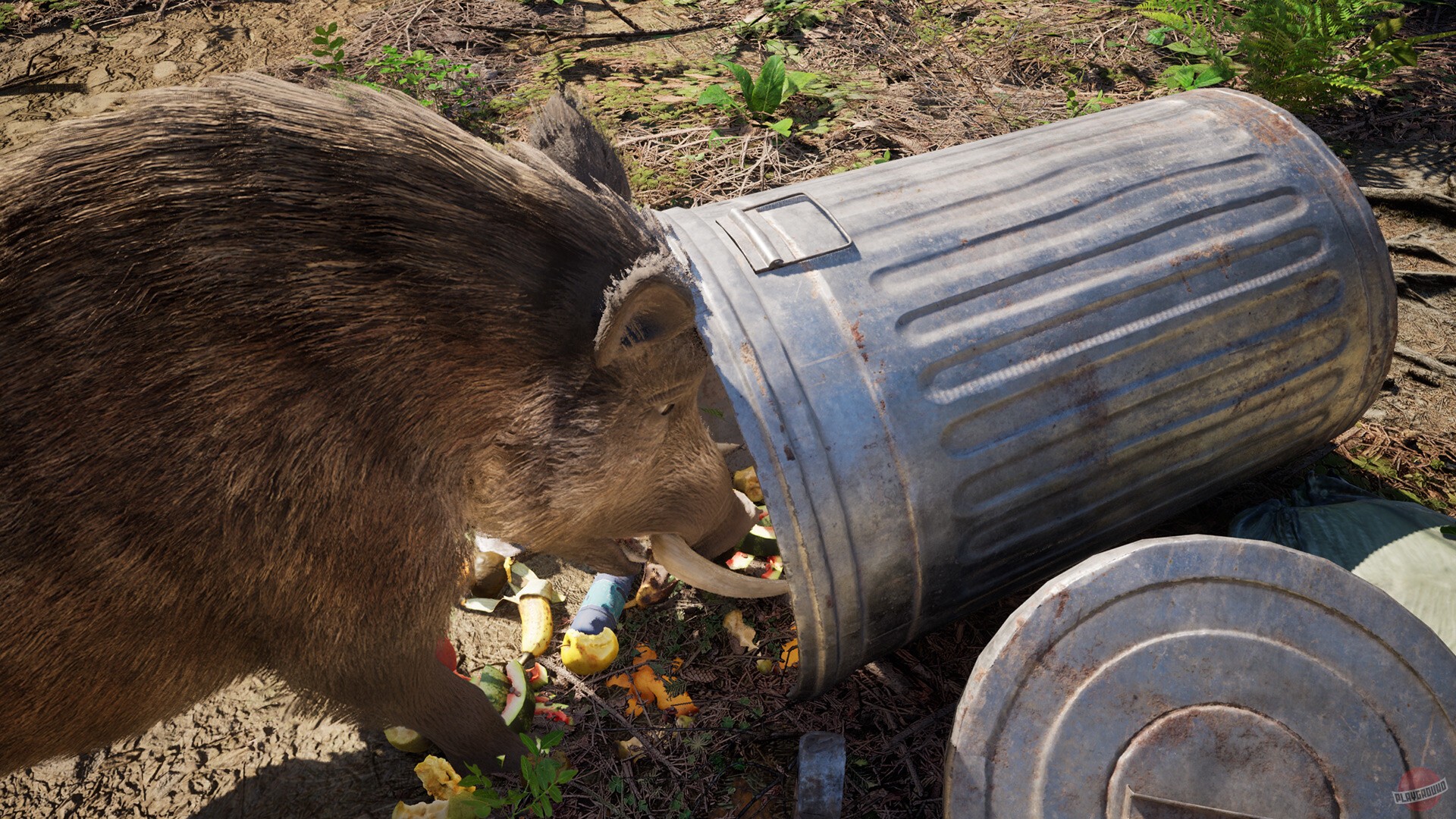 Скриншот из игры Wild Terrain - 5