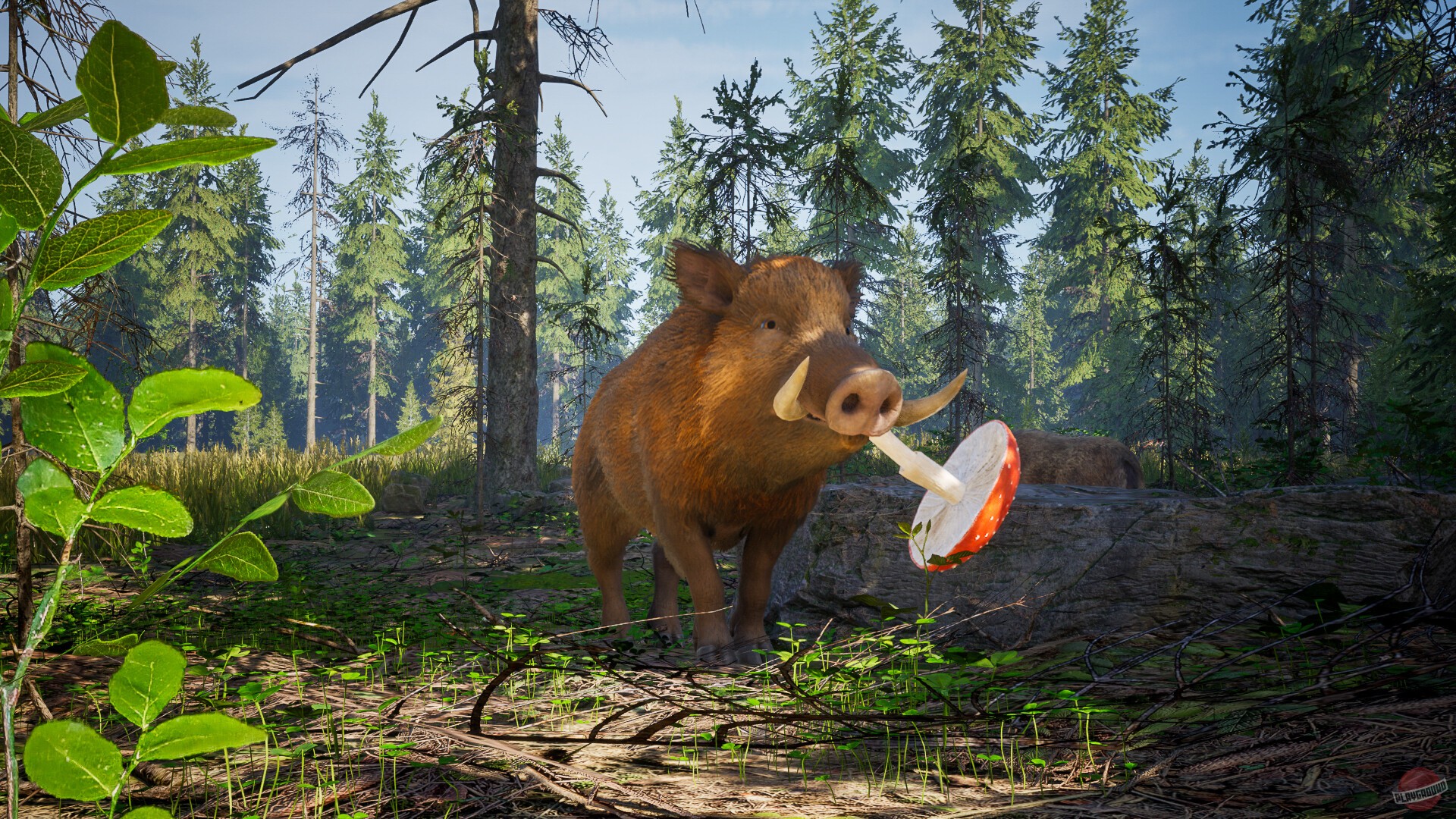 Скриншот из игры Wild Terrain - 7