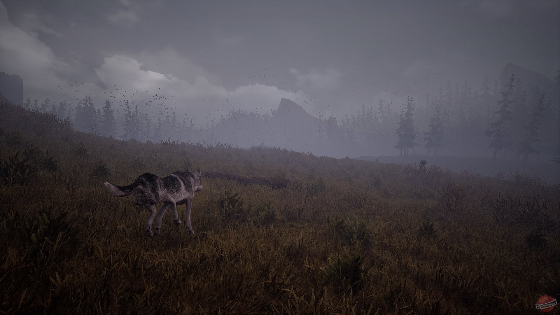 Скриншот из игры Wandering Wolf - 6