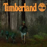 Обложка игры Timberland Expeditions