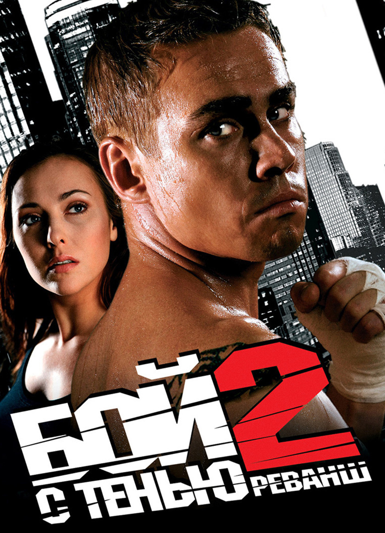 Обложка игры Бой с тенью 2: Реванш