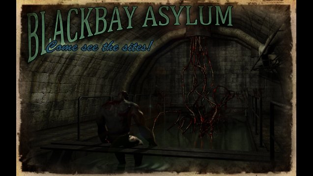 Скриншот из игры Blackbay Asylum - 1