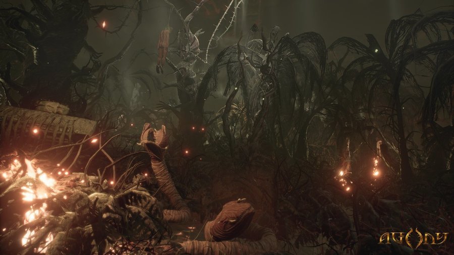 Скриншот из игры Agony - 64