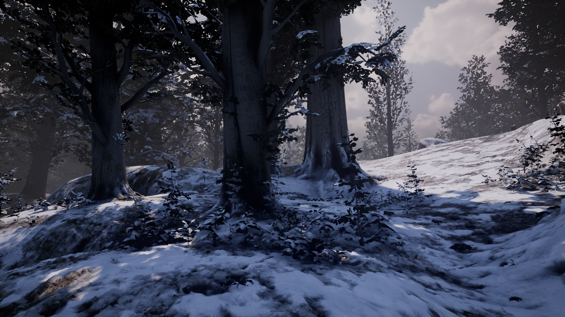 Скриншот из игры Nephise - 11