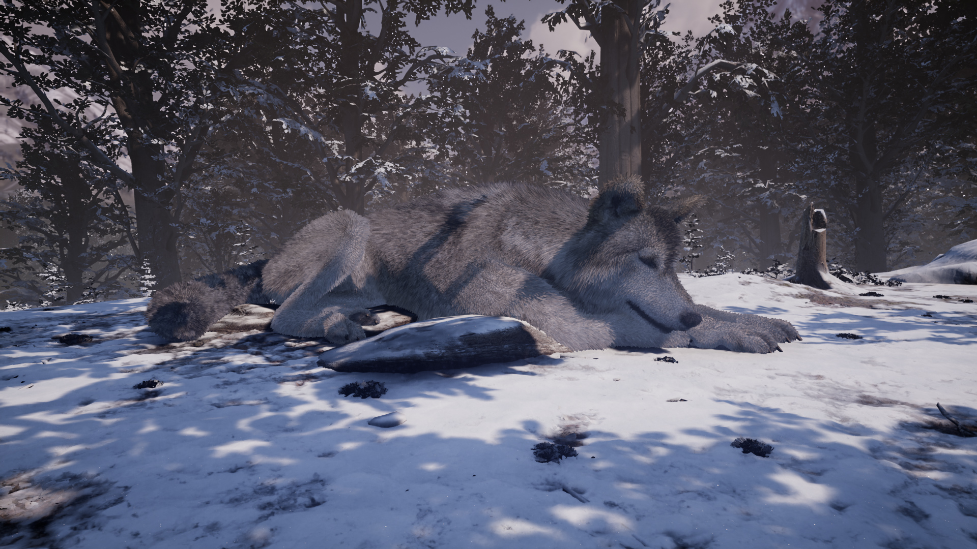 Скриншот из игры Nephise - 18