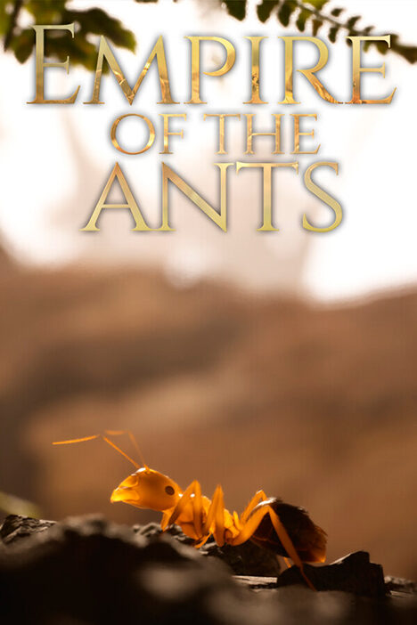 Обложка игры Empire of the Ants