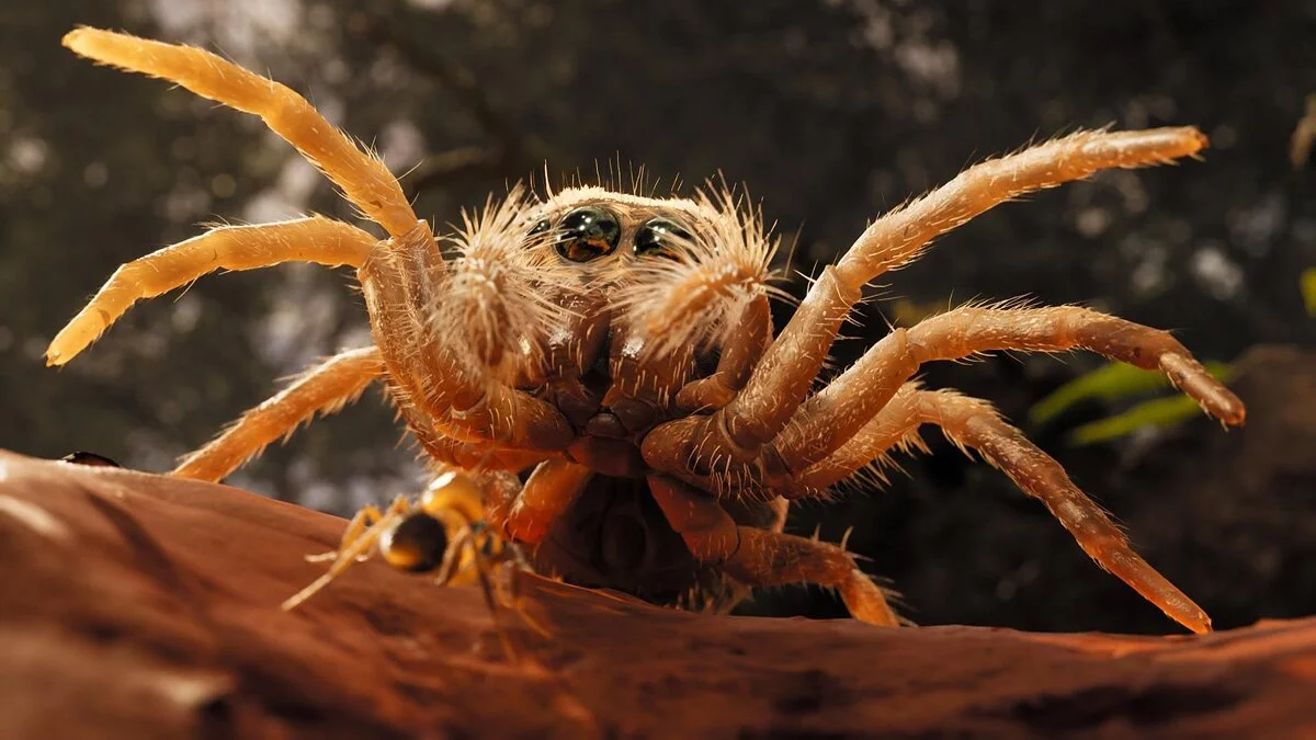 Скриншот из игры Empire of the Ants - 15