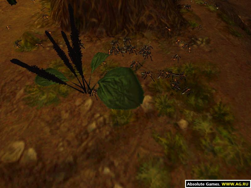 Скриншот из игры Empire of the Ants - 4