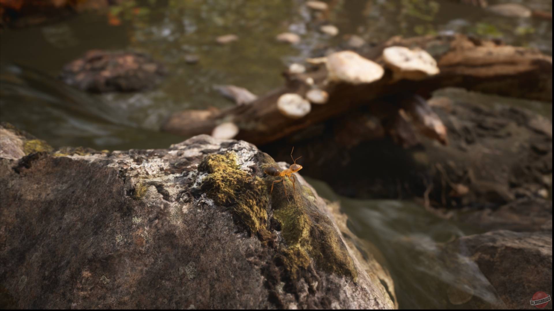 Скриншот из игры Empire of the Ants - 5