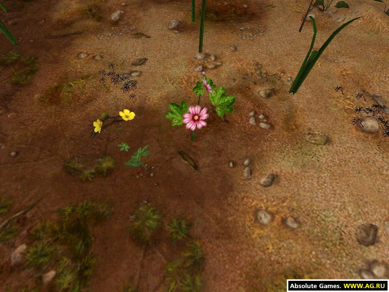 Скриншот из игры Empire of the Ants - 28