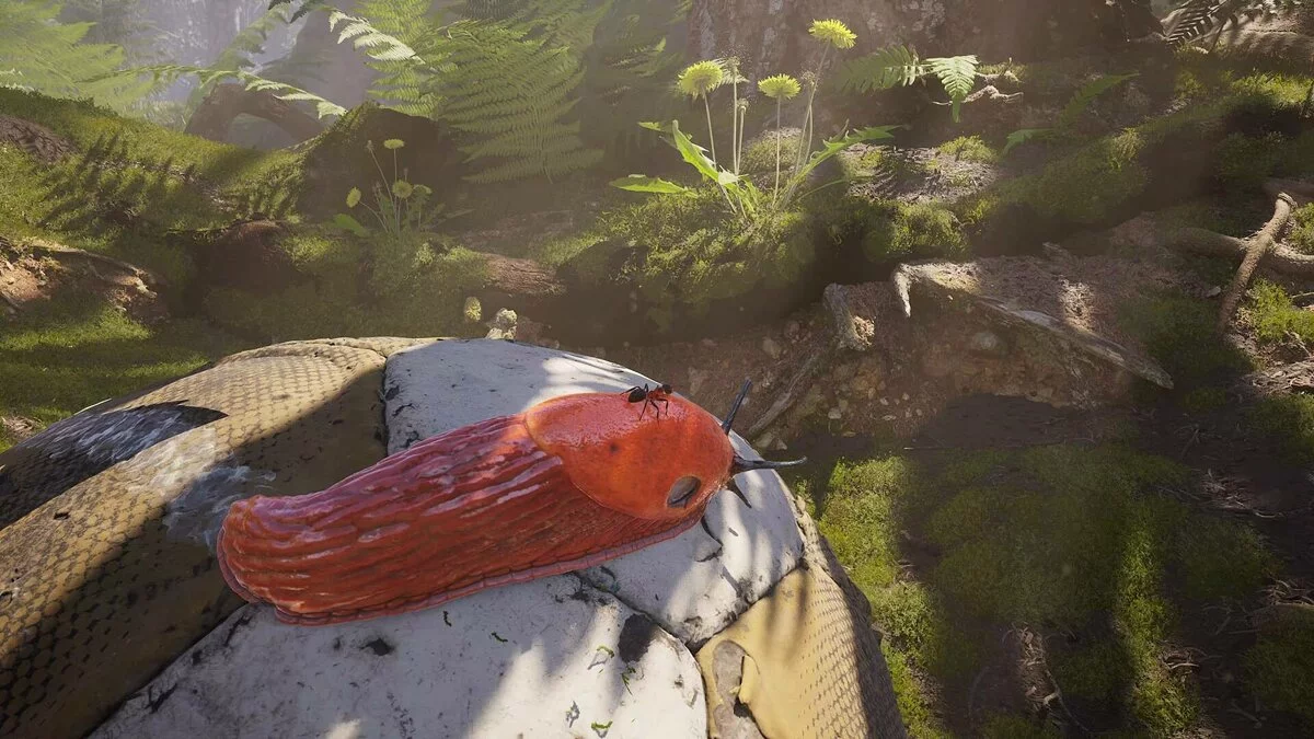 Скриншот из игры Empire of the Ants - 12