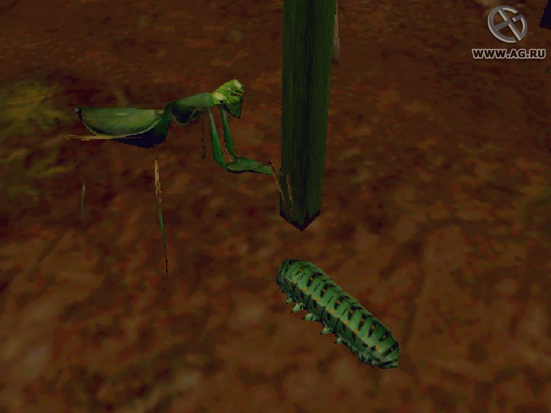 Скриншот из игры Empire of the Ants - 10