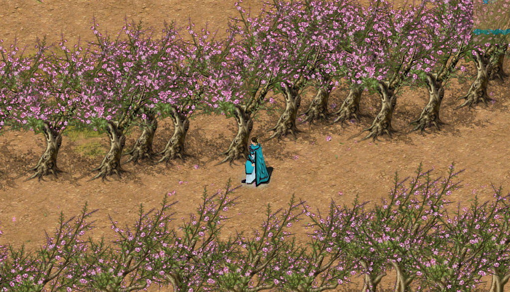 Скриншот из игры Conquer Online - 19