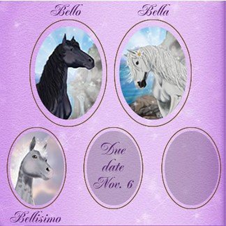 Скриншот из игры Bella Sara - 1