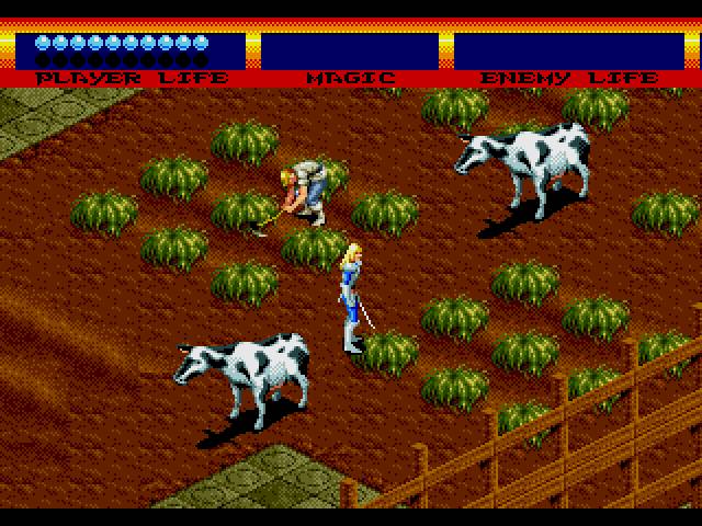 Скриншот из игры Light Crusader - 12