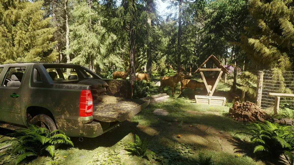 Скриншот из игры Forester Simulator - 7