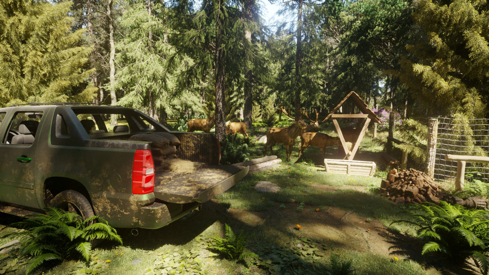 Скриншот из игры Forester Simulator - 4