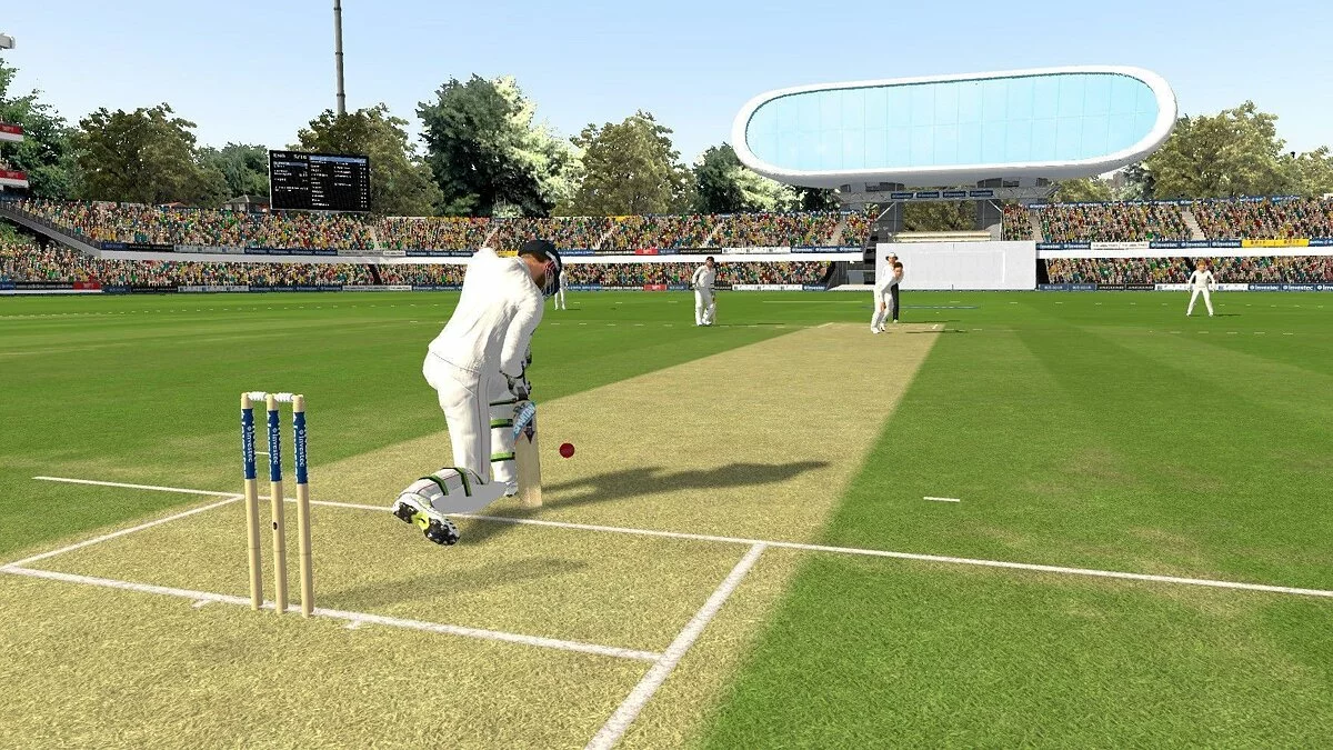 Скриншот из игры Ashes Cricket 2013 - 10