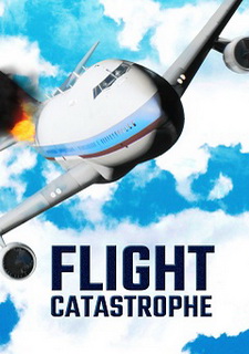Обложка игры Flight Catastrophe