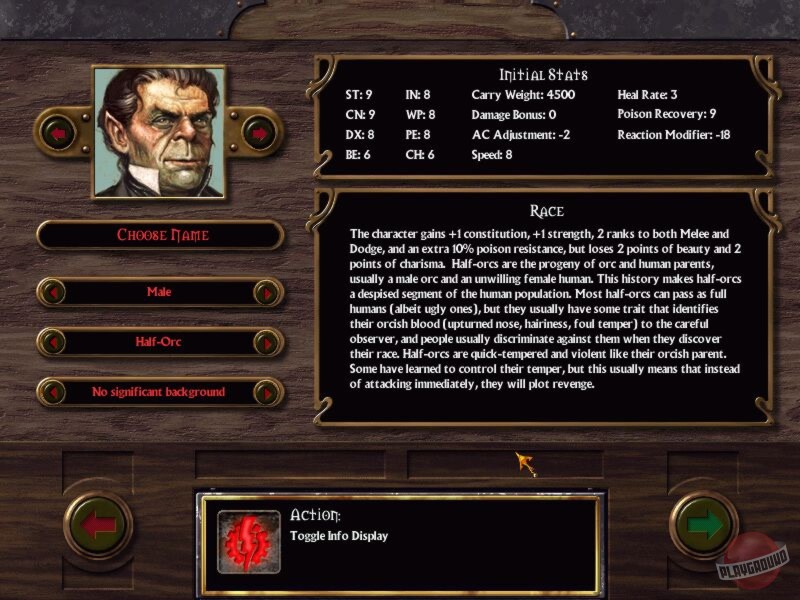 Скриншот из игры Arcanum: Of Steamworks & Magick Obscura - 14