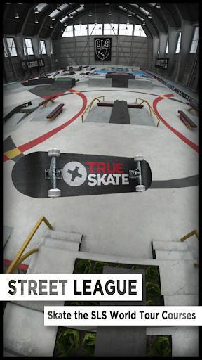 Скриншот из игры True Skate - 18