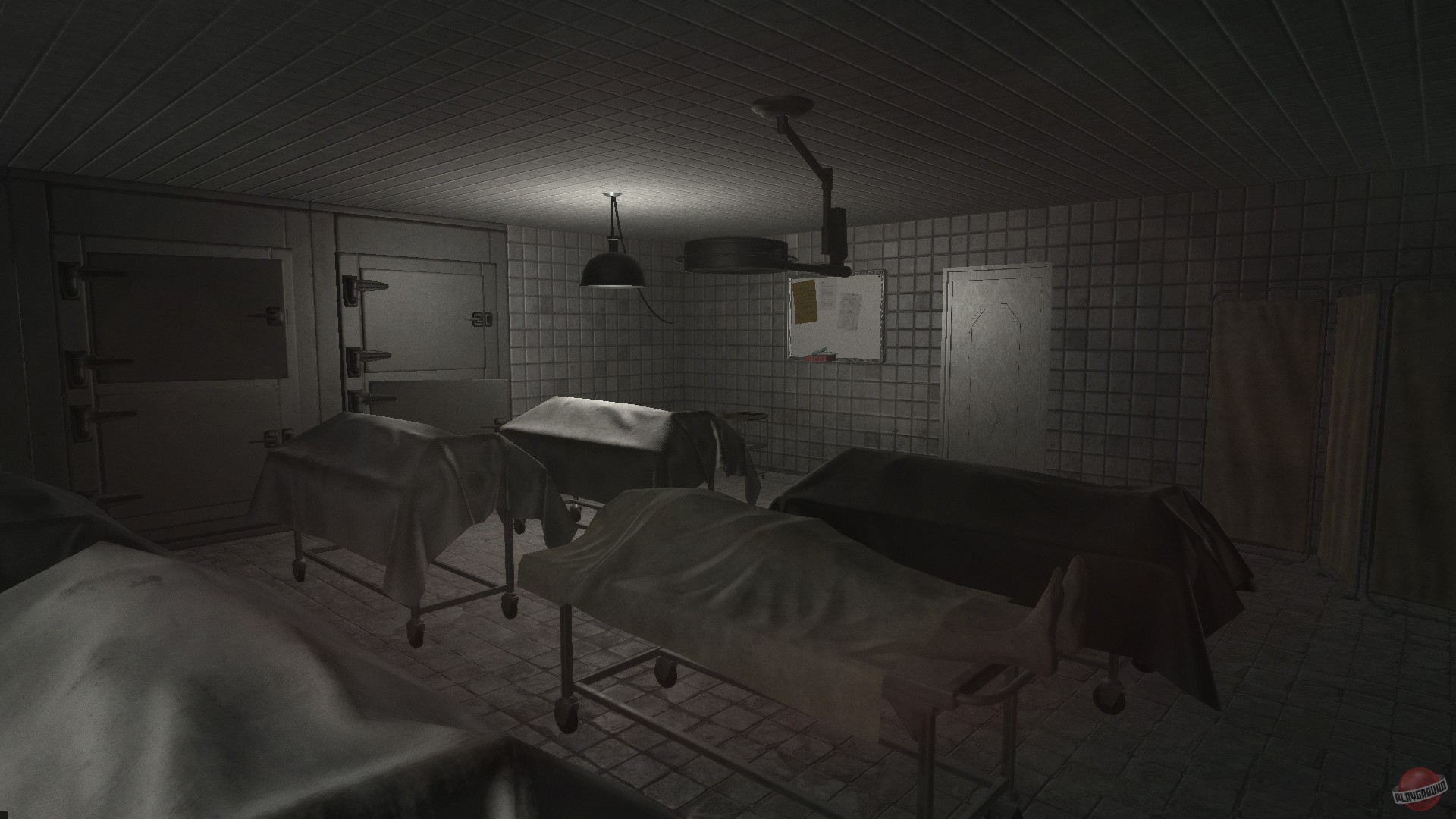 Скриншот из игры ALONE - 28