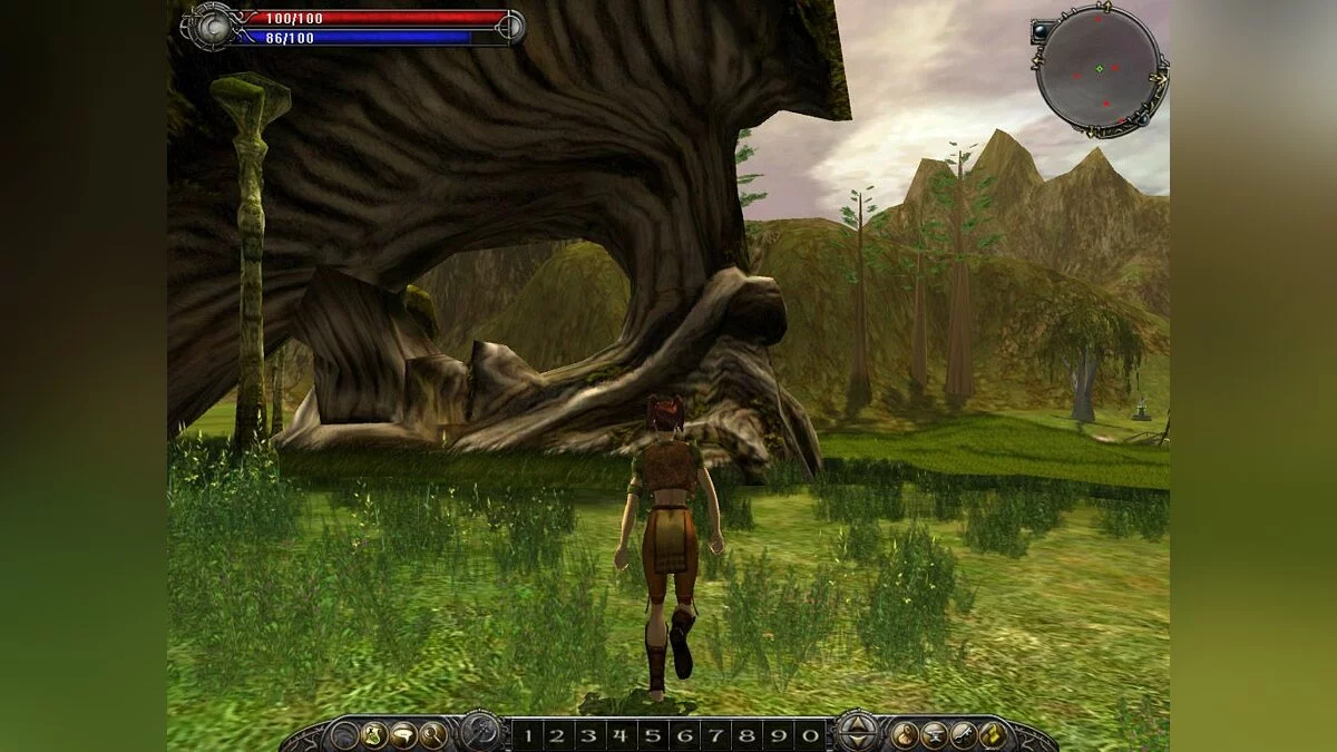 Скриншот из игры Asheron's Call 2: Fallen Kings - 25