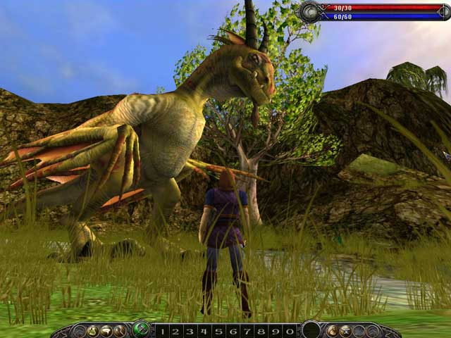 Скриншот из игры Asheron's Call 2: Fallen Kings - 34