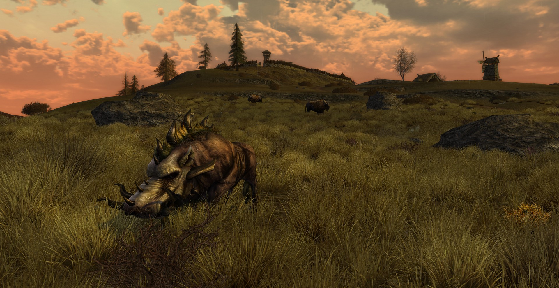 Скриншот из игры The Lord of the Rings Online: Riders of Rohan - 71