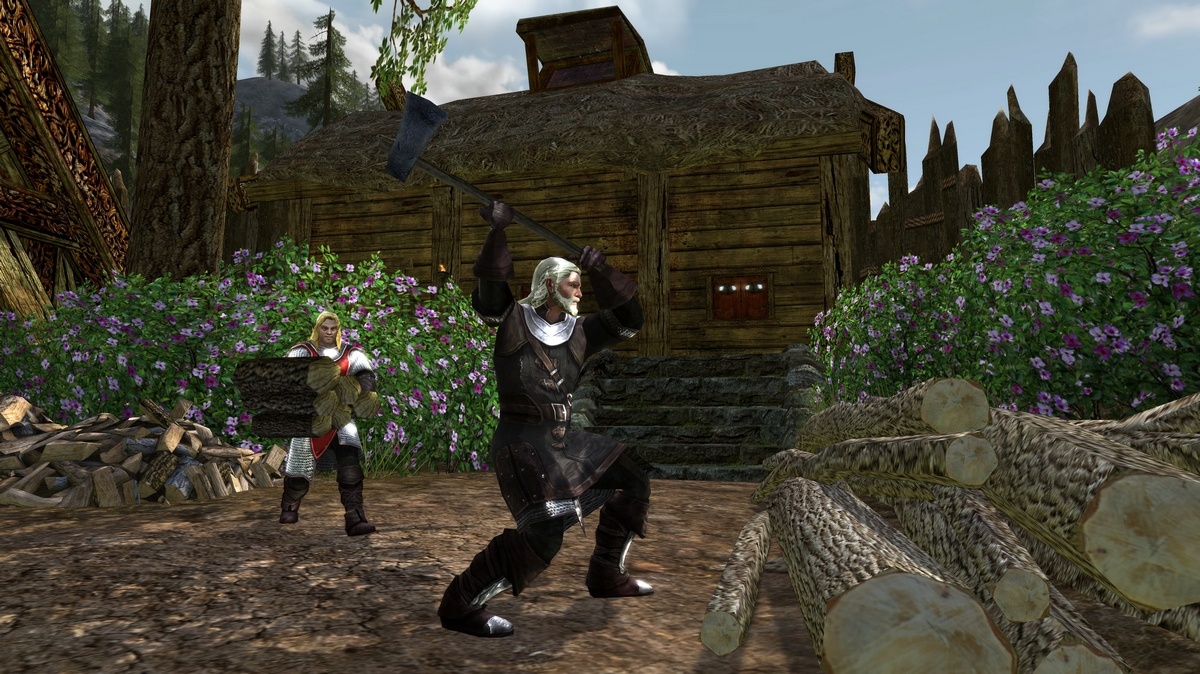 Скриншот из игры The Lord of the Rings Online: Riders of Rohan - 11