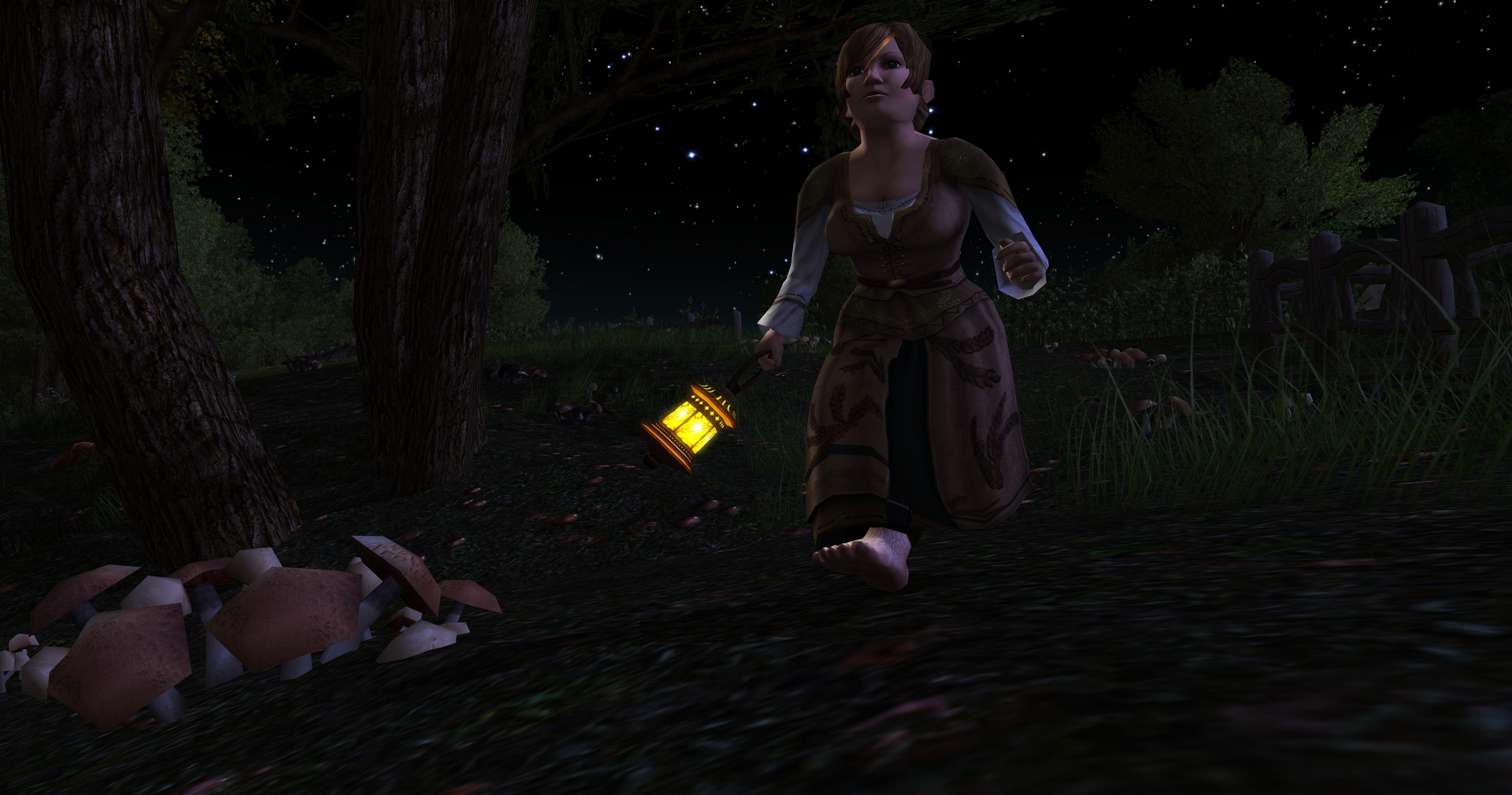 Скриншот из игры The Lord of the Rings Online: Riders of Rohan - 90