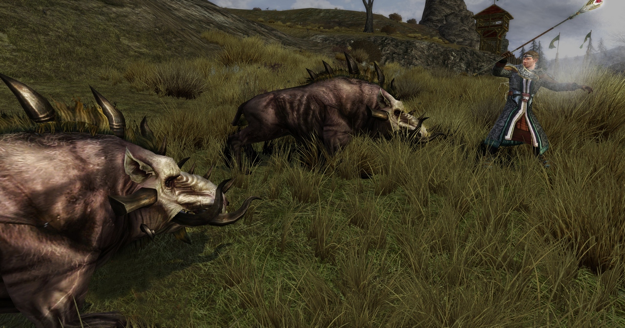 Скриншот из игры The Lord of the Rings Online: Riders of Rohan - 89