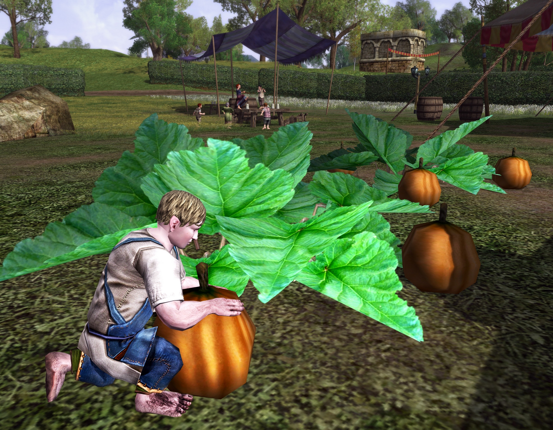 Скриншот из игры The Lord of the Rings Online: Riders of Rohan - 161