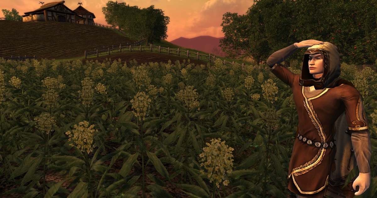 Скриншот из игры The Lord of the Rings Online: Riders of Rohan - 32