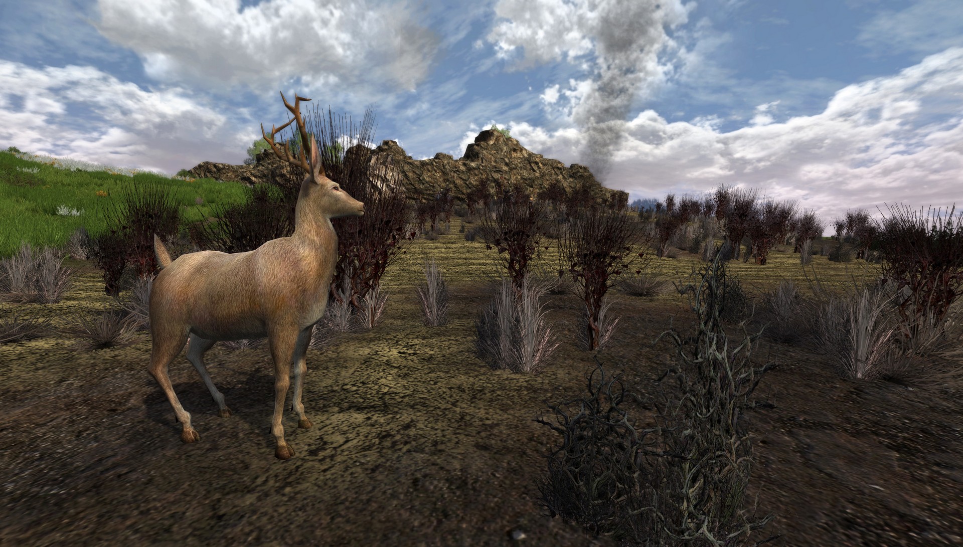 Скриншот из игры The Lord of the Rings Online: Riders of Rohan - 199