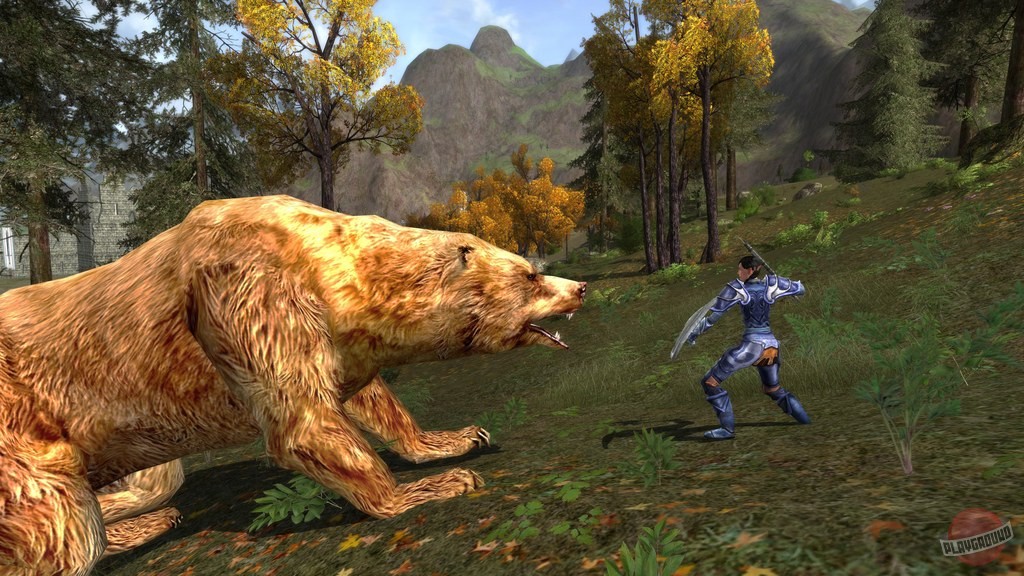 Скриншот из игры The Lord of the Rings Online - 122