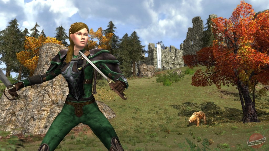 Скриншот из игры The Lord of the Rings Online - 140