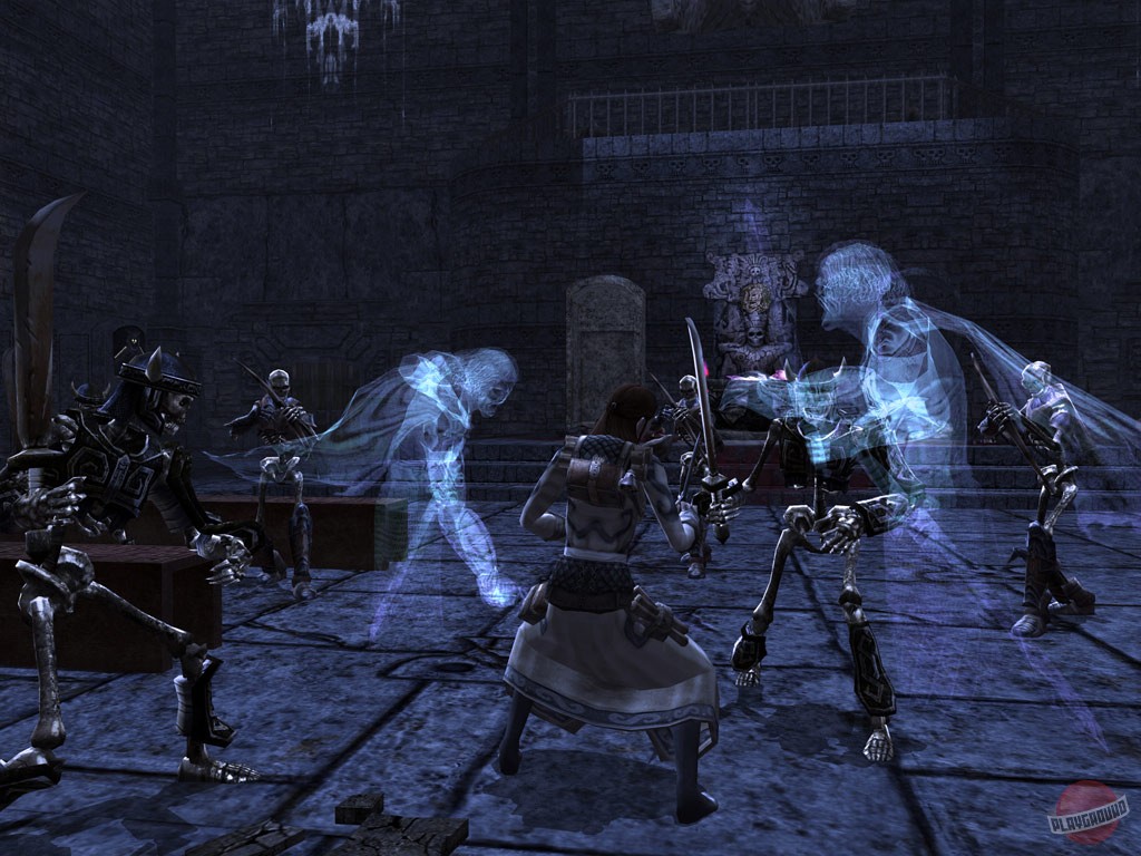 Скриншот из игры Dungeons & Dragons Online: Stormreach - 18